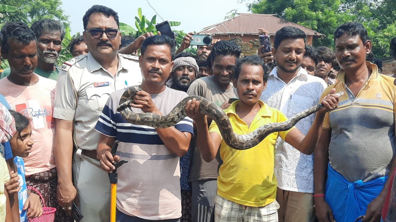 গলসিতে লোকালয় থেকে উদ্ধার অজগর